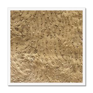 A sandy wall with a swirling pattern of scratches embedded with small stones, in a white 20x20 frame.