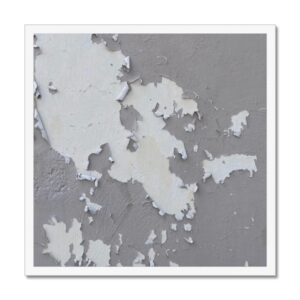 Photo of grey paint peeling off a smooth concrete wall reminiscent of shedding reptilian skin mounted in 20x20" square white frame.