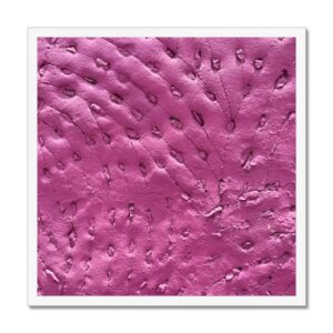 20x20” picture of a concrete wall painted dragon fruit pink with pattern of small stone inlays mounted and framed.