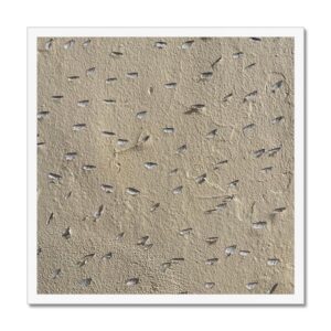 A 20x20" framed photograph of a beige stucco wall textured with lots of small claw-like slash marks in the surface of the paint.